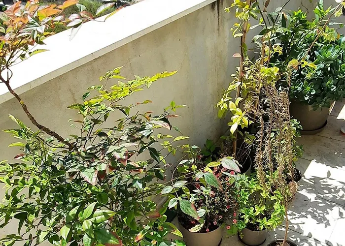 Hidden Gem, Modern 2bedroom, Amazing Terrace-free Parking-your Away From Apartment