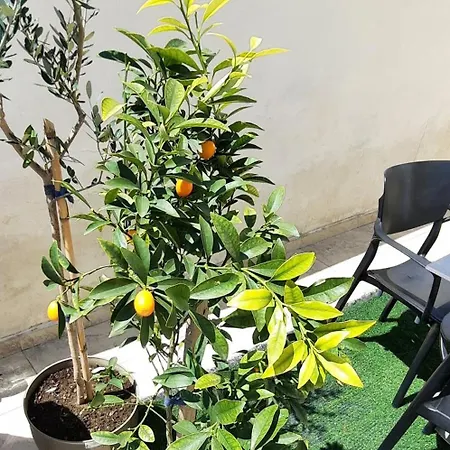 Apartment Hidden Gem, Modern 2bedroom, Amazing Terrace-free Parking-your Away From