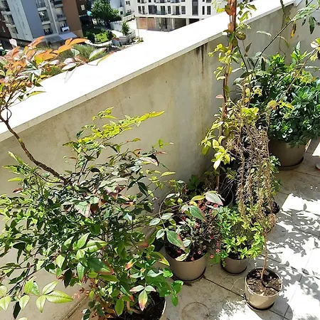 Hidden Gem, Modern 2bedroom, Amazing Terrace-free Parking-your Away From Lägenhet